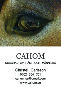 Christel Cahom Carlsson naturhälsopedagog