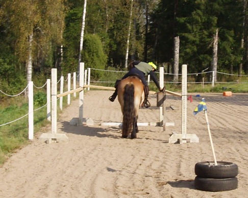 Momenten i bruksridningen kan variera, det som är viktigaste för mig är att hästarna blir miljötränade. Att träna för att tävla med hästarna är inte aktuellt. Momenten i bruksridningen kan variera, det som är viktigaste för mig är att hästarna blir miljötränade. Att träna för att tävla med hästarna är inte aktuellt.