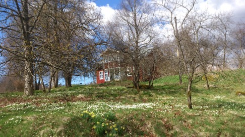 Vårskön natur i Simlångsdalen
