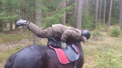 Styrketräning på hästryggen... endast för rutinerade och superstarka ryttare! Styrketräning på hästryggen... endast för rutinerade och superstarka ryttare!