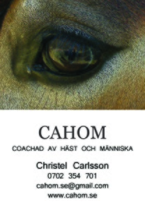 Christel Cahom Carlsson naturhälsopedagog