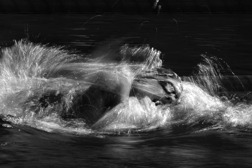 Adam Paulsson ser så här artistisk ut när han simmar 1500m fritt och fångas i svart/vitt utförande. Klicka på bilden för att se bilden i stort format.
