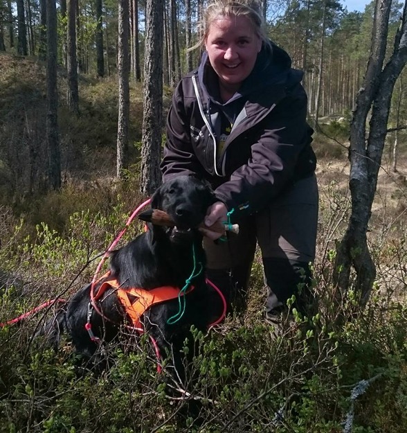 FOTO: Raymond Bråten FOTO: Raymond Bråten