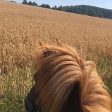 Funkis dagläger 12 aug 2026