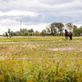 Ut på turläger för vuxna 1-3 maj 2026
