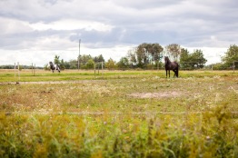 Ut på turläger för vuxna 1-3 maj 2026
