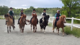 Ungdomsridläger 22 - 26 juni 2026