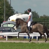 Sallykurs 18/11-23 - Individuell ridning (tillfälle 3/4)