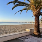 IMG_0512 2