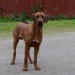 bild (18)