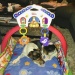 Zorro i babygymmet 