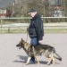 Lydnadspass med Mike 