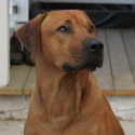 Fina Memphis <3