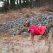 En värdig Esther
