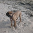 Debbie på strandpromenad