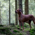 Vackra Esther <3