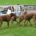 Kingley, Dior Dexter o Esther