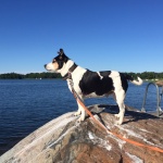 Härligt med havsluft