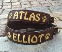 Atlas- Brunt skinn med guld text. Halsbandets bredd 4 cm. Välj variant, storlek, bredd & symboler i meny:n