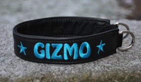 Gizmo-Svart skinn, Turkos text, Halsbandets bredd 4 cm. Välj variant, storlek & symboler i meny:n