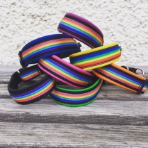 NYHET!! Pride halsband / Grönt skinn NYHET!! Pride halsband / Grönt skinn