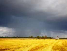 Lite så här ser det ut omkring oss så här på hösten. Vi tröskar när det inte regnar och har fått in en finfin halmskörd med vetehalm. Lite så här ser det ut omkring oss så här på hösten. Vi tröskar när det inte regnar och har fått in en finfin halmskörd med vetehalm.