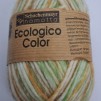 lagerrensning Ecologico color - ecologico color