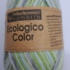 lagerrensning Ecologico color - ecologico color