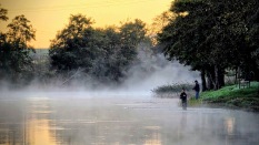 Foto: Thomas Gammelgaard.