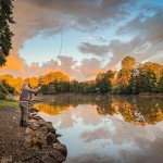 Vinnare 2024: Verner Borg