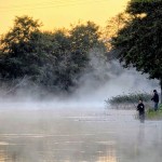 Foto: Thomas Gammelgaard.