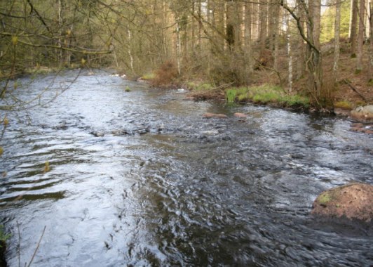 Smedjeån, which flows into the Lagan, is classified as a national interest for its outdoor life, because it houses salmon and sea trout.