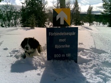 Långt från snöbrist