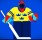 Swedish Ice Hockey Banner