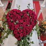 thumbnail_20241129_094831