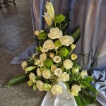 thumbnail_20250307_094420