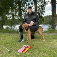 Schillerstövare