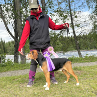 Bästa Veteran Fin. RR SEJCH SE UCH Kläppgärdes Riku 