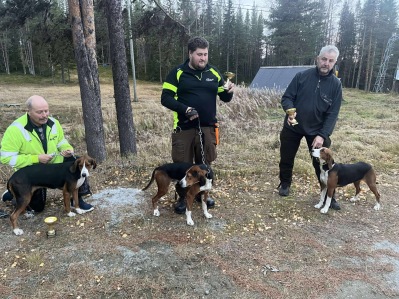 Tre nya champions. Åivets Zelda Erik Dahl Lycksele, Djupgrovbäckens Hasp Alexander Larsson Norsjö,  Skräddarbackens Bella  Gunnar Wallström Boliden.
