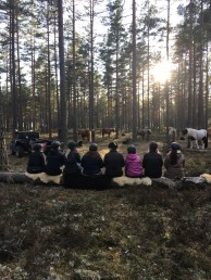 fika på hebytur fika på hebytur