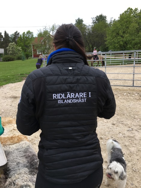 Ridlärare 1 islandshäst Ridlärare 1 islandshäst