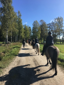 ridläger slofallet ridläger slofallet