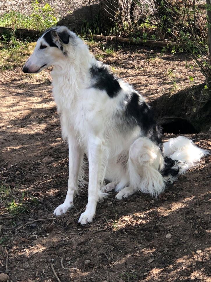 14 months old 14 months old