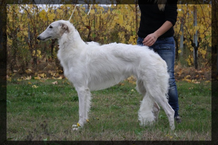 Chloé Chloé