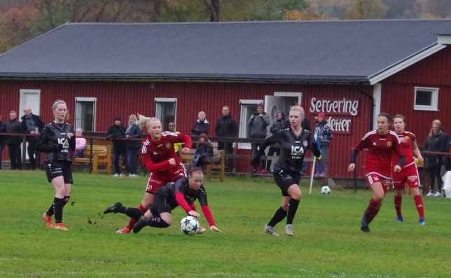 Vi var på många matcher under "Coronaåret" 2020. En av dem var när Alnö vann sin avslutande match hemma mot Söråker och tog klivet upp i division 1. Foto: Pia Skogman, Lokalfotbollen.nu