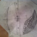 Bild 627