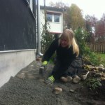 Bild 477