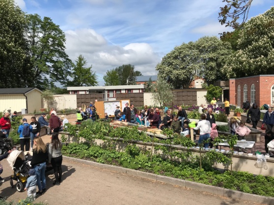 Välbesökt kulturnatt 2019 Välbesökt kulturnatt 2019
