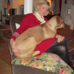 1 a Advent 2012 008