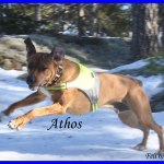 Athos 5